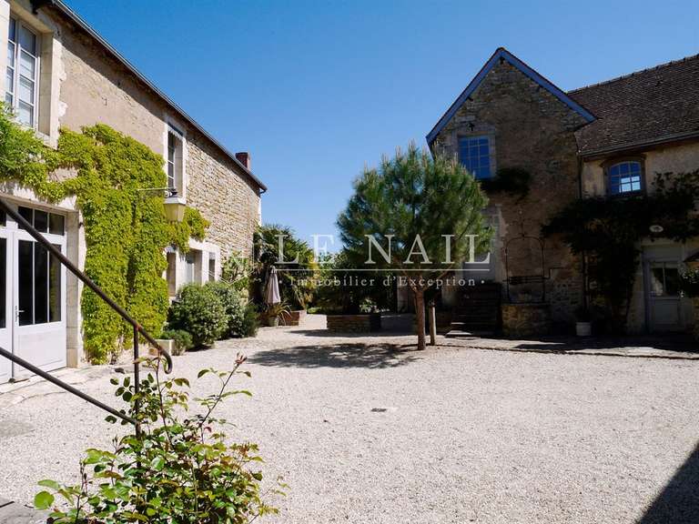 Maison Neuvy-Saint-Sépulchre - 3 chambres - 335m²