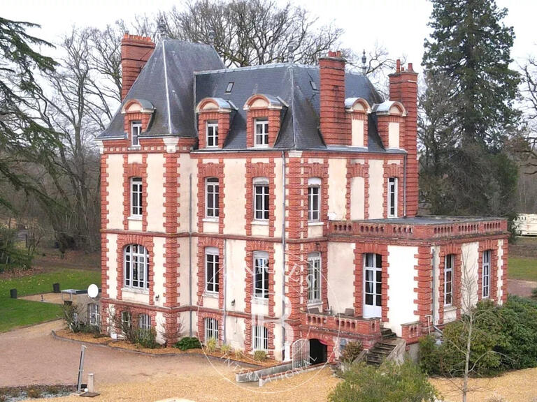 Château Neuvy-sur-Barangeon - 7 chambres - 423m²