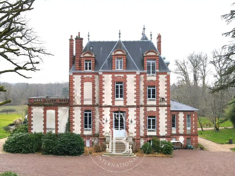 Château Neuvy-sur-Barangeon - 7 chambres - 423m²