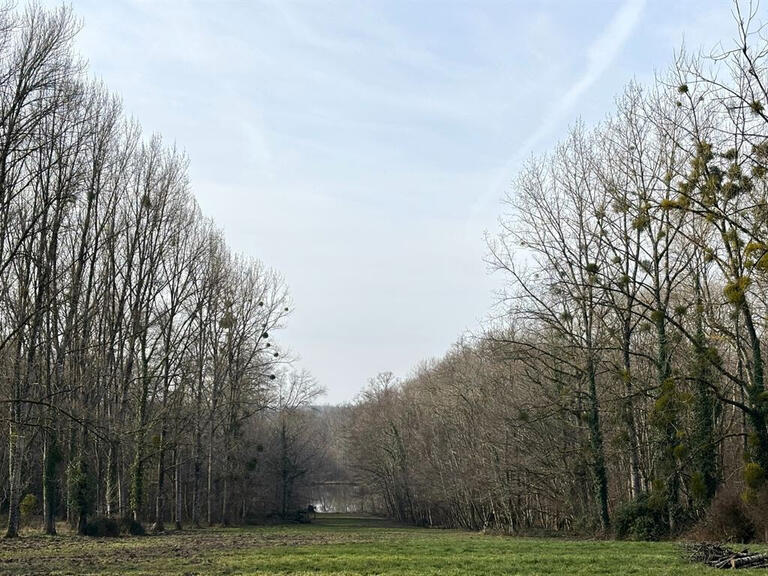 House Neuvy-sur-Barangeon - 9 bedrooms - 485m²
