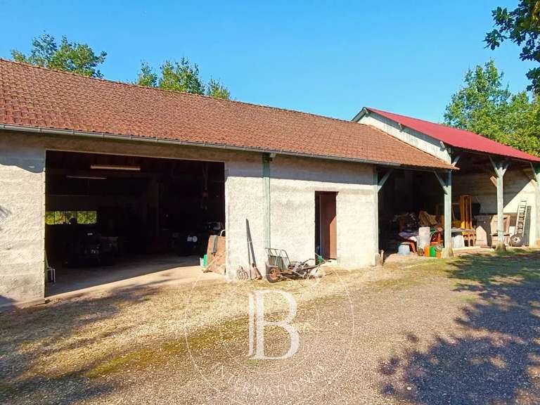 Propriété Neuvy-sur-Barangeon - 4 chambres - 230m²