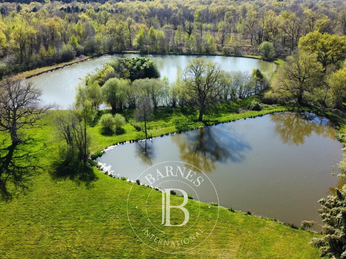 Propriété Neuvy-sur-Barangeon