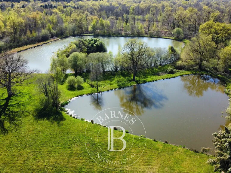 Property Neuvy-sur-Barangeon - 4 bedrooms - 230m²