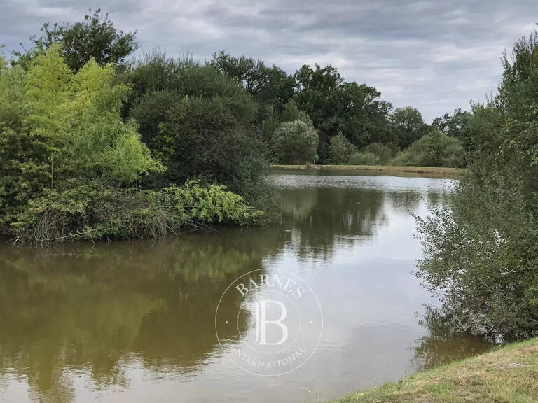 Propriété Neuvy-sur-Barangeon - 4 chambres - 230m²