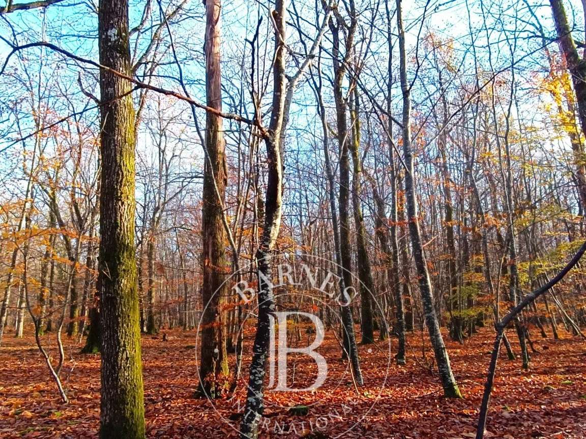Propriété Neuvy-sur-Barangeon