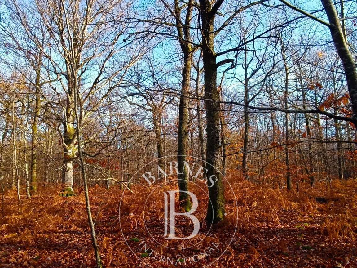 Propriété Neuvy-sur-Barangeon