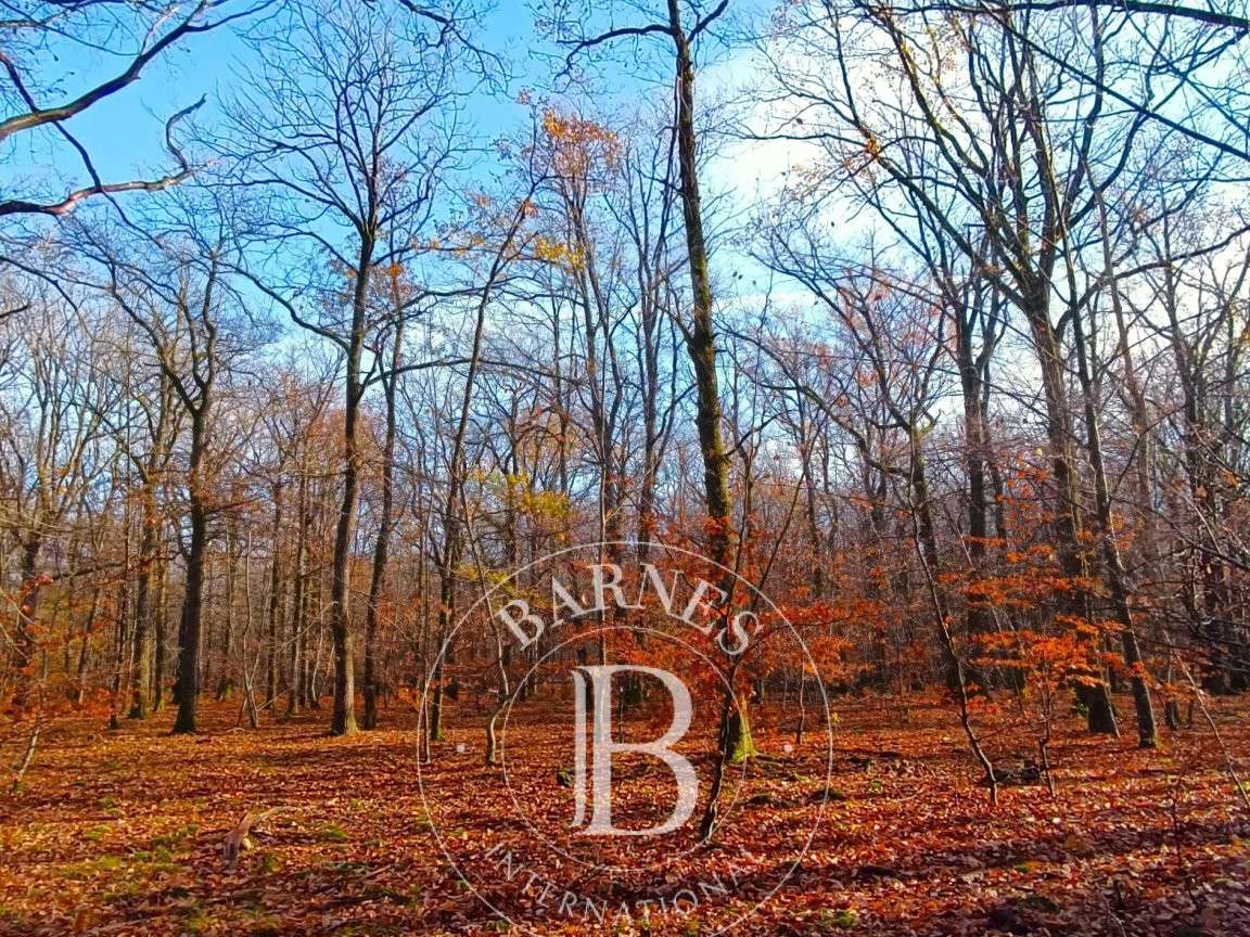 Propriété Neuvy-sur-Barangeon