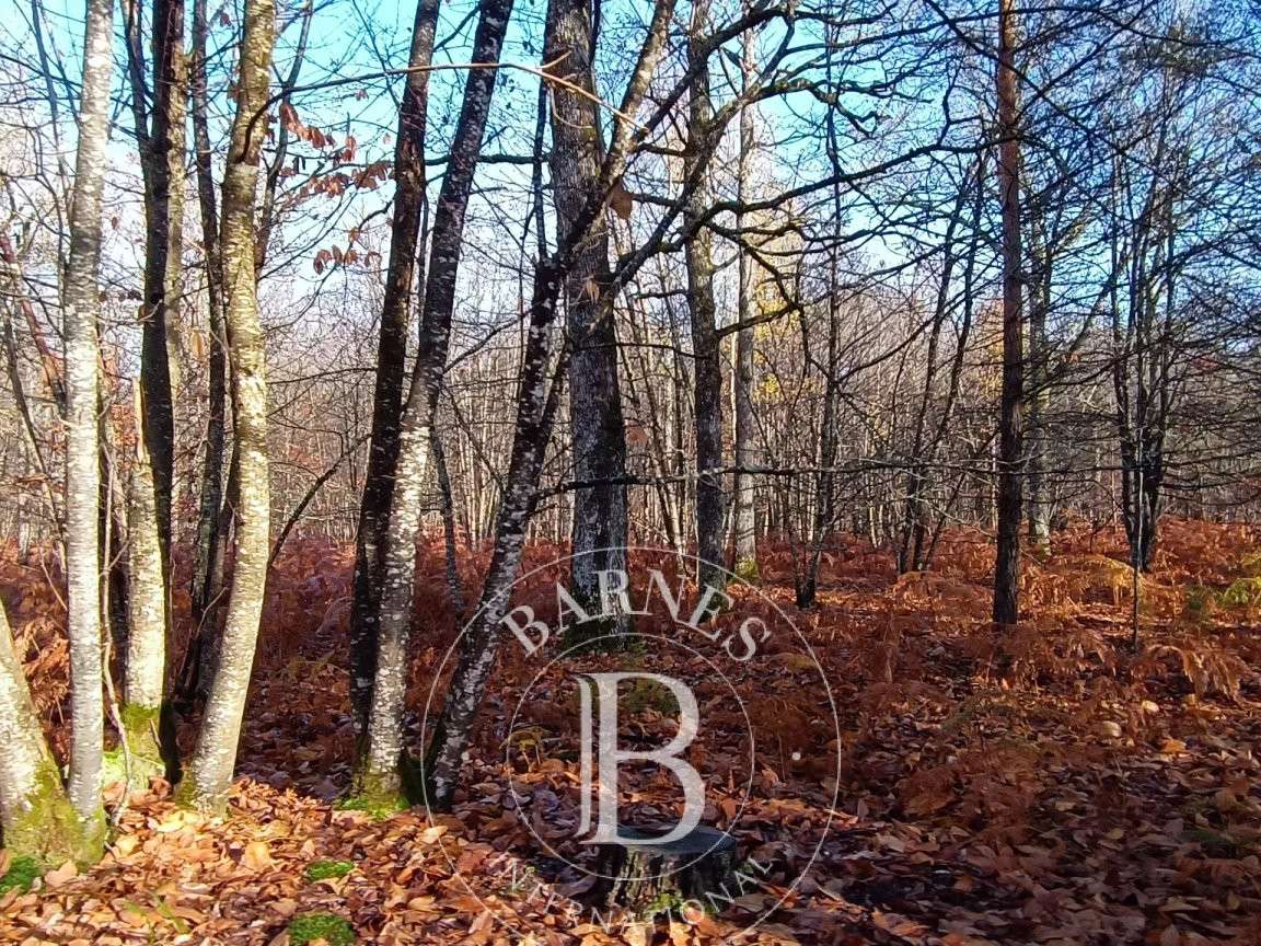 Propriété Neuvy-sur-Barangeon