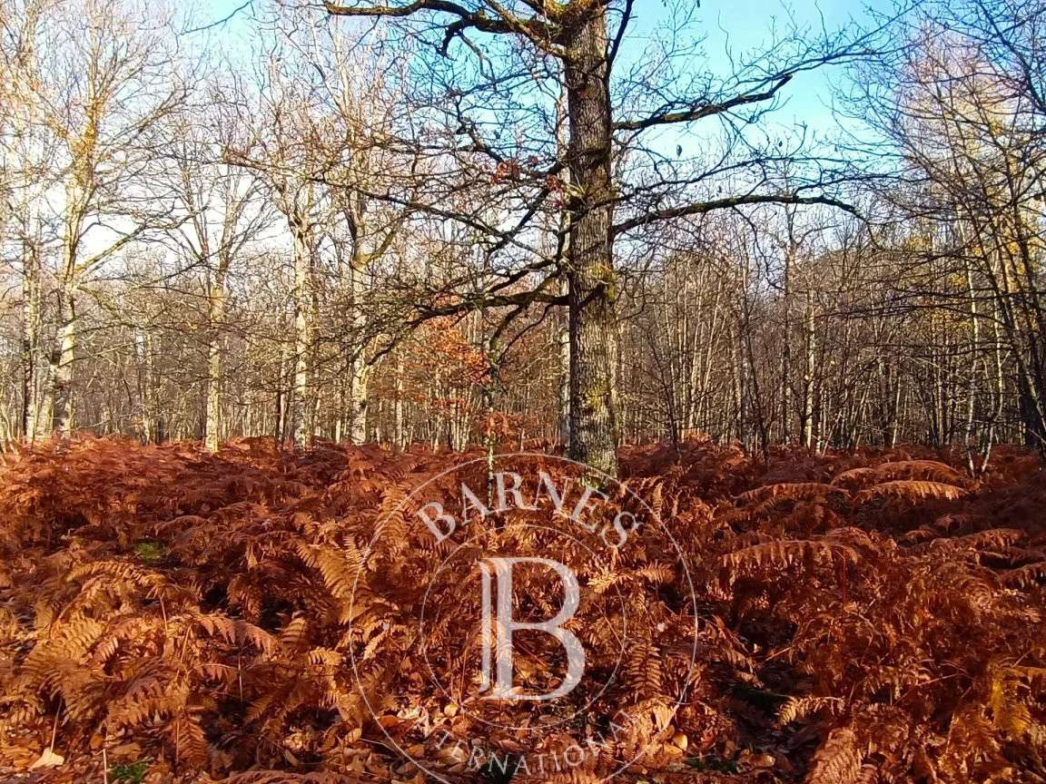 Propriété Neuvy-sur-Barangeon