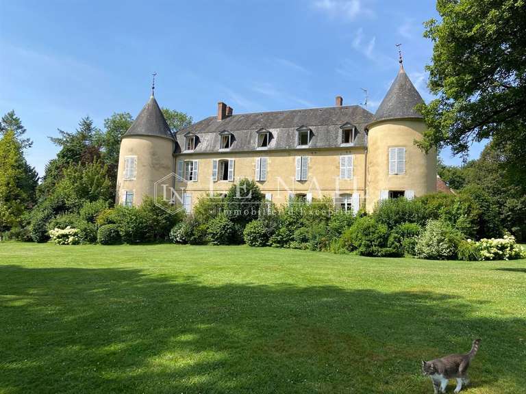 Château Nevers - 8 chambres - 612m²