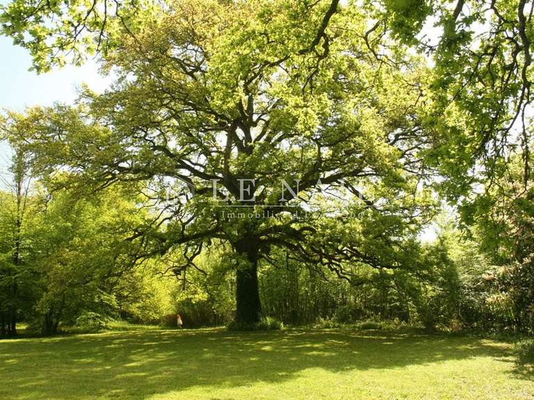 Castle Nevers - 16 bedrooms - 1173m²