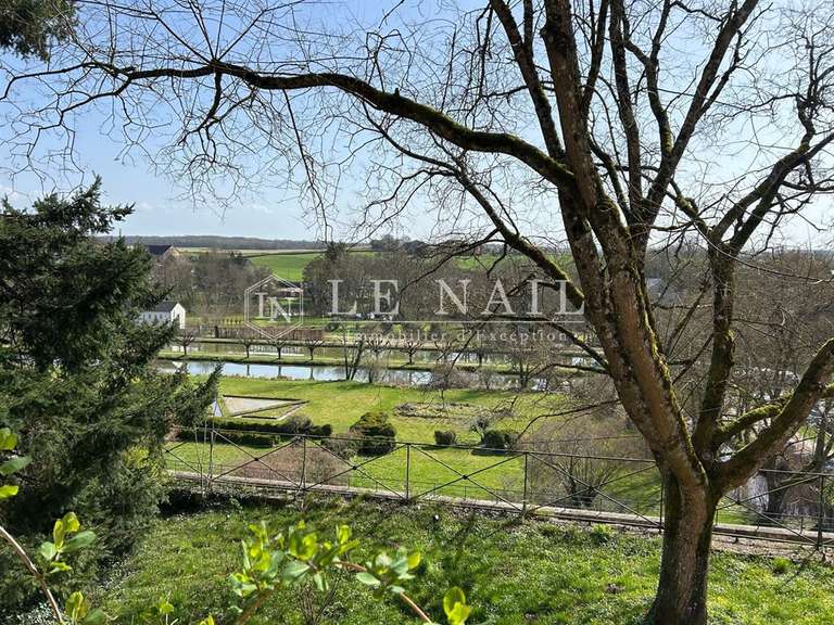Castle Nevers - 23 bedrooms - 2000m²