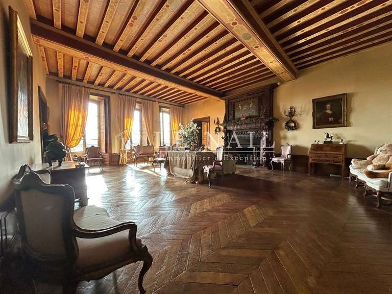 Castle Nevers - 23 bedrooms - 2000m²