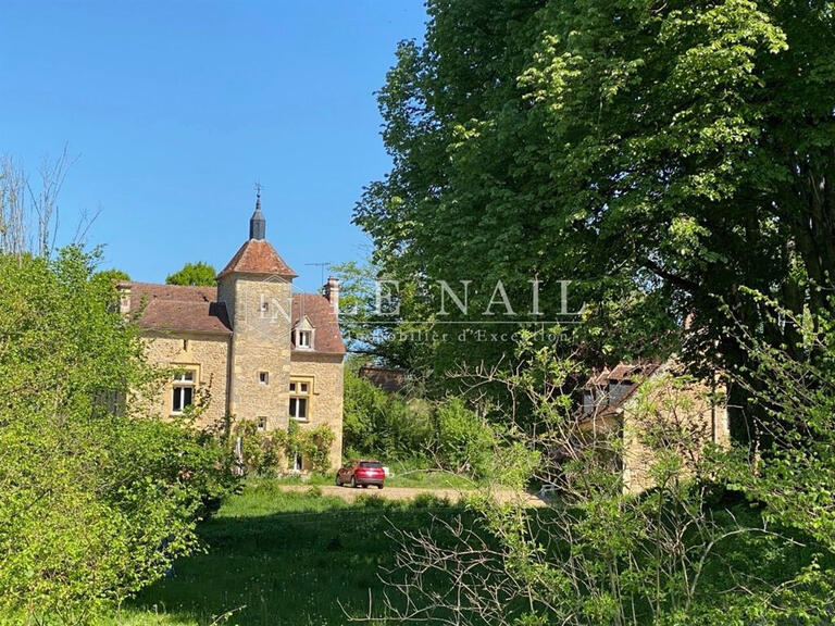 Manoir Nevers - 9 chambres - 540m²