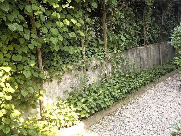 Appartement Nice - 2 chambres - 91m²