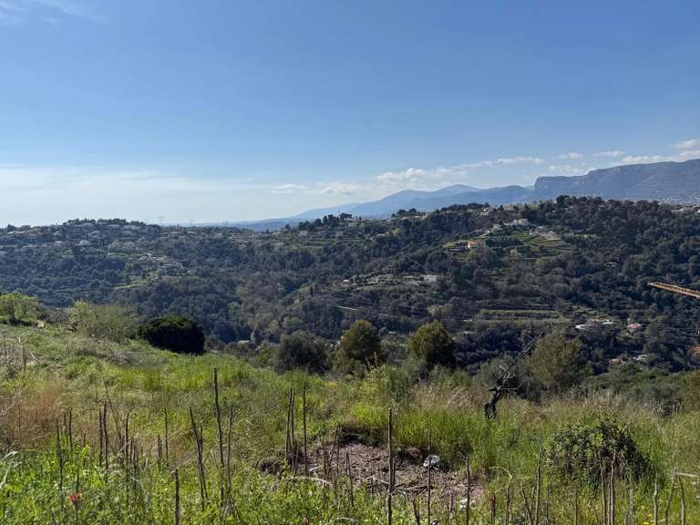 Terrain Nice - 15614m²