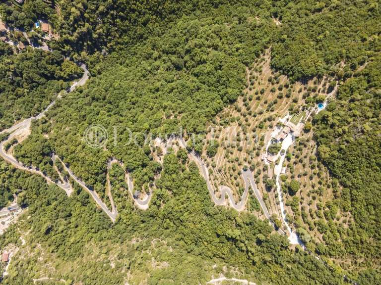 Villa Nice - 11 chambres - 650m²