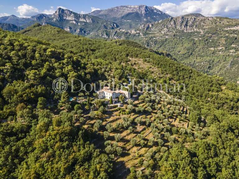 Villa Nice - 11 chambres - 725m²