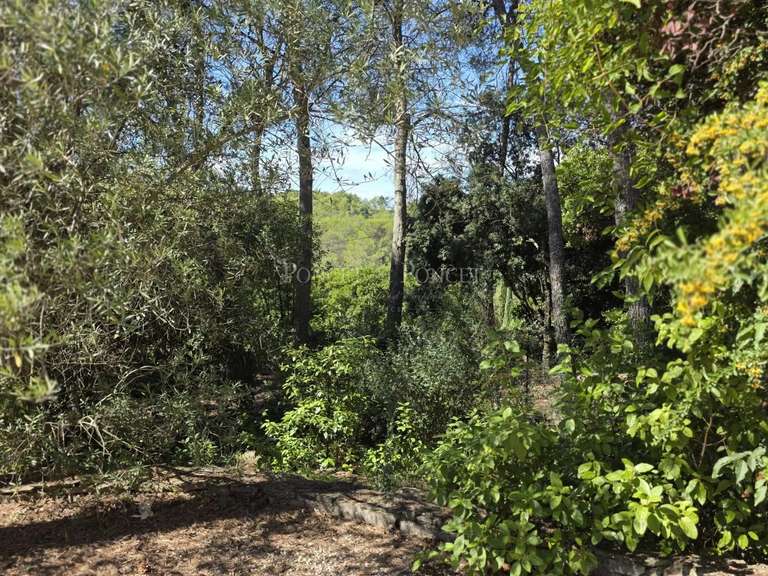 House Nîmes - 7 bedrooms - 287m²