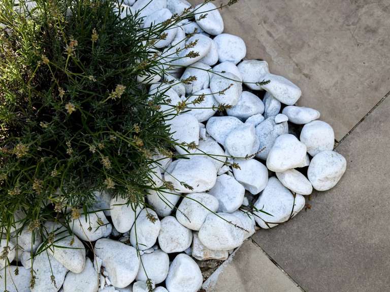 Maison Nîmes - 4 chambres - 478m²