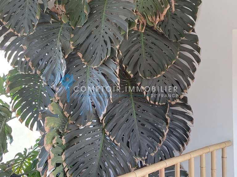 Maison Nîmes - 4 chambres - 295m²