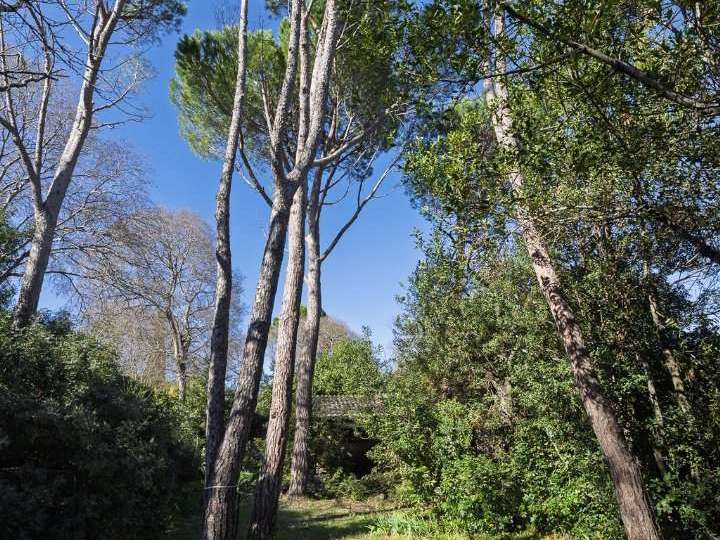 House Nîmes - 4 bedrooms