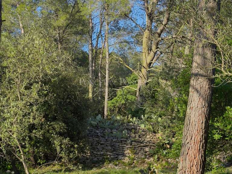 Maison Nîmes - 1 chambre - 250m²