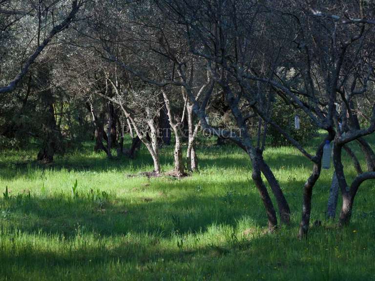 Maison Nîmes - 1 chambre - 250m²