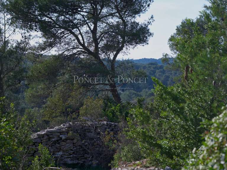 Maison Nîmes - 1 chambre - 250m²