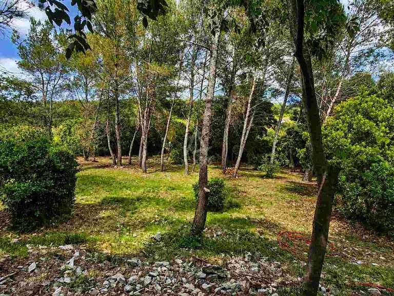 House Nîmes - 4 bedrooms