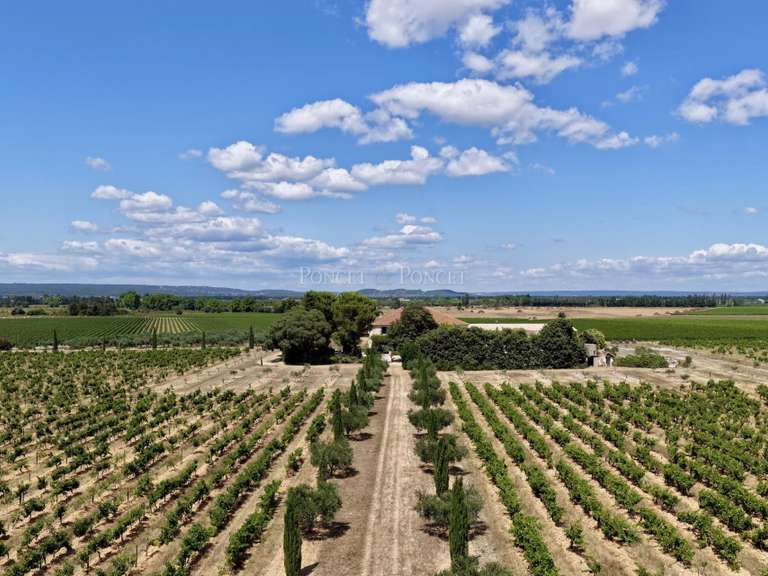 Propriété Nîmes - 10 chambres - 1583m²