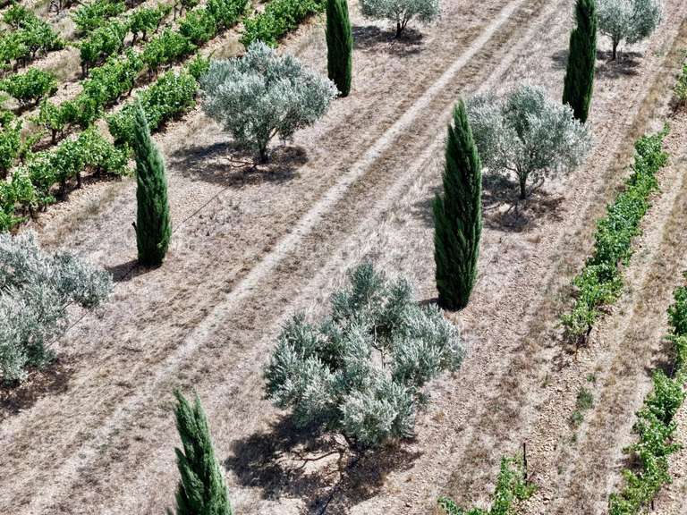 Propriété Nîmes - 10 chambres - 1583m²