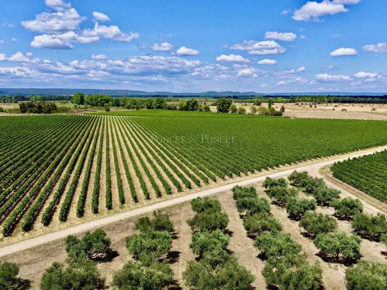 Propriété Nîmes - 10 chambres - 1583m²
