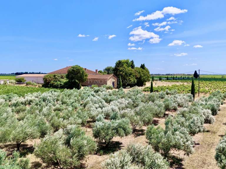 Propriété Nîmes - 10 chambres - 1583m²