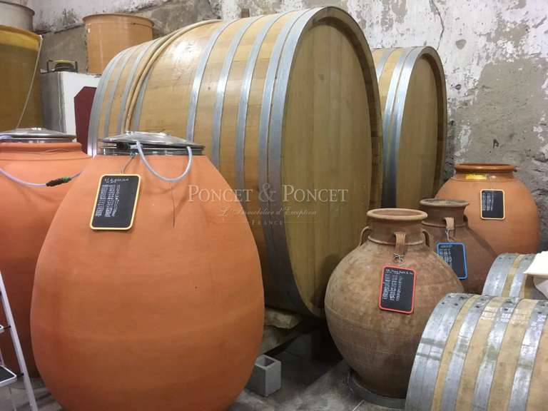 Propriété Nîmes - 1620m²