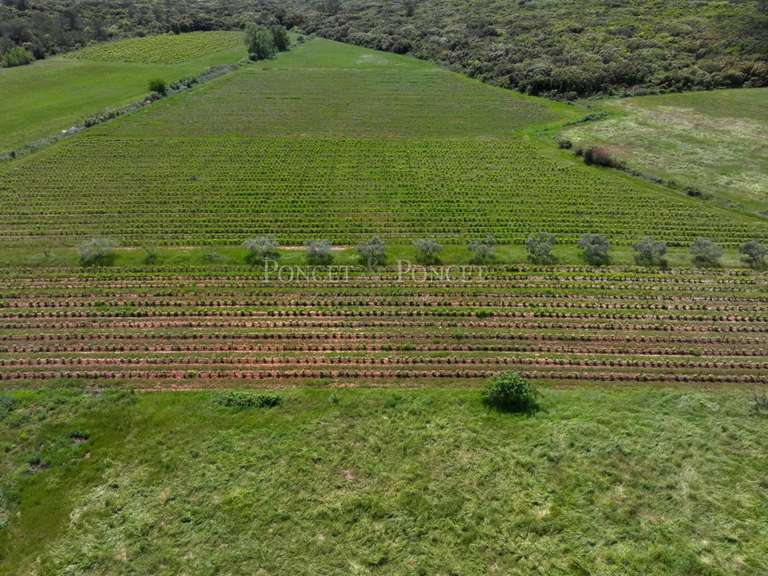 Propriété Nîmes - 1620m²