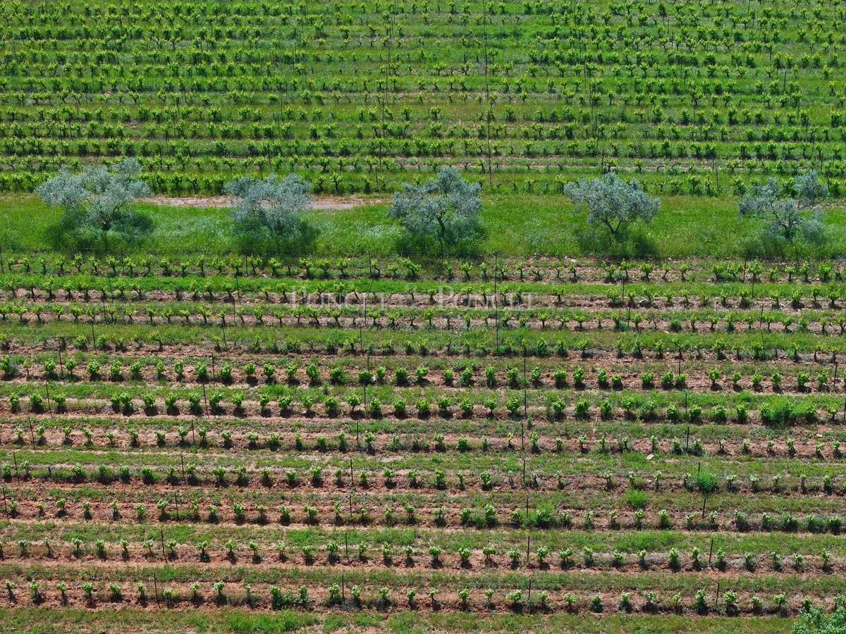 Propriété Nîmes