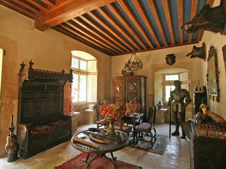 Château Niort - 4 chambres - 400m²