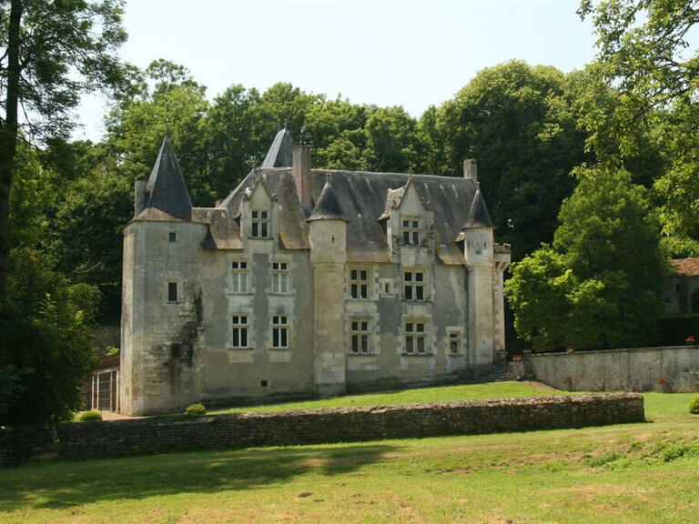 Château Niort - 4 chambres - 400m²