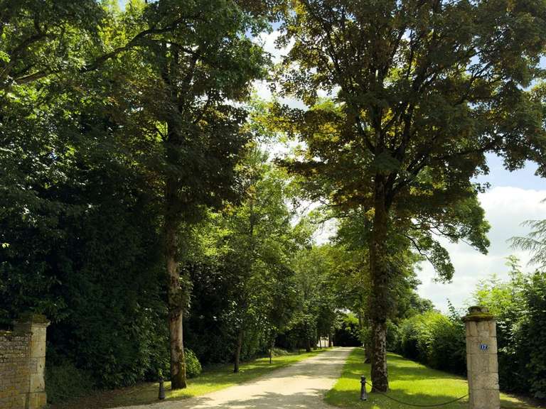 Manoir Niort - 7 chambres - 500m²