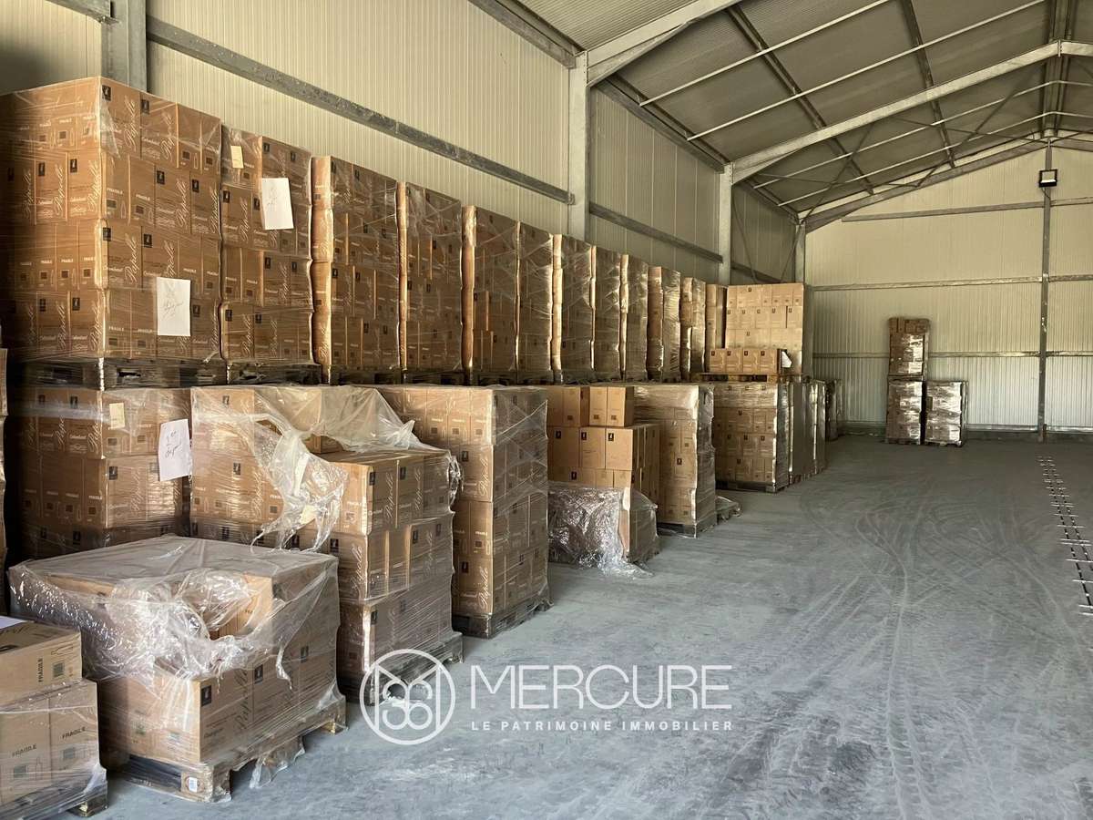 Domaine viticole Nogaro