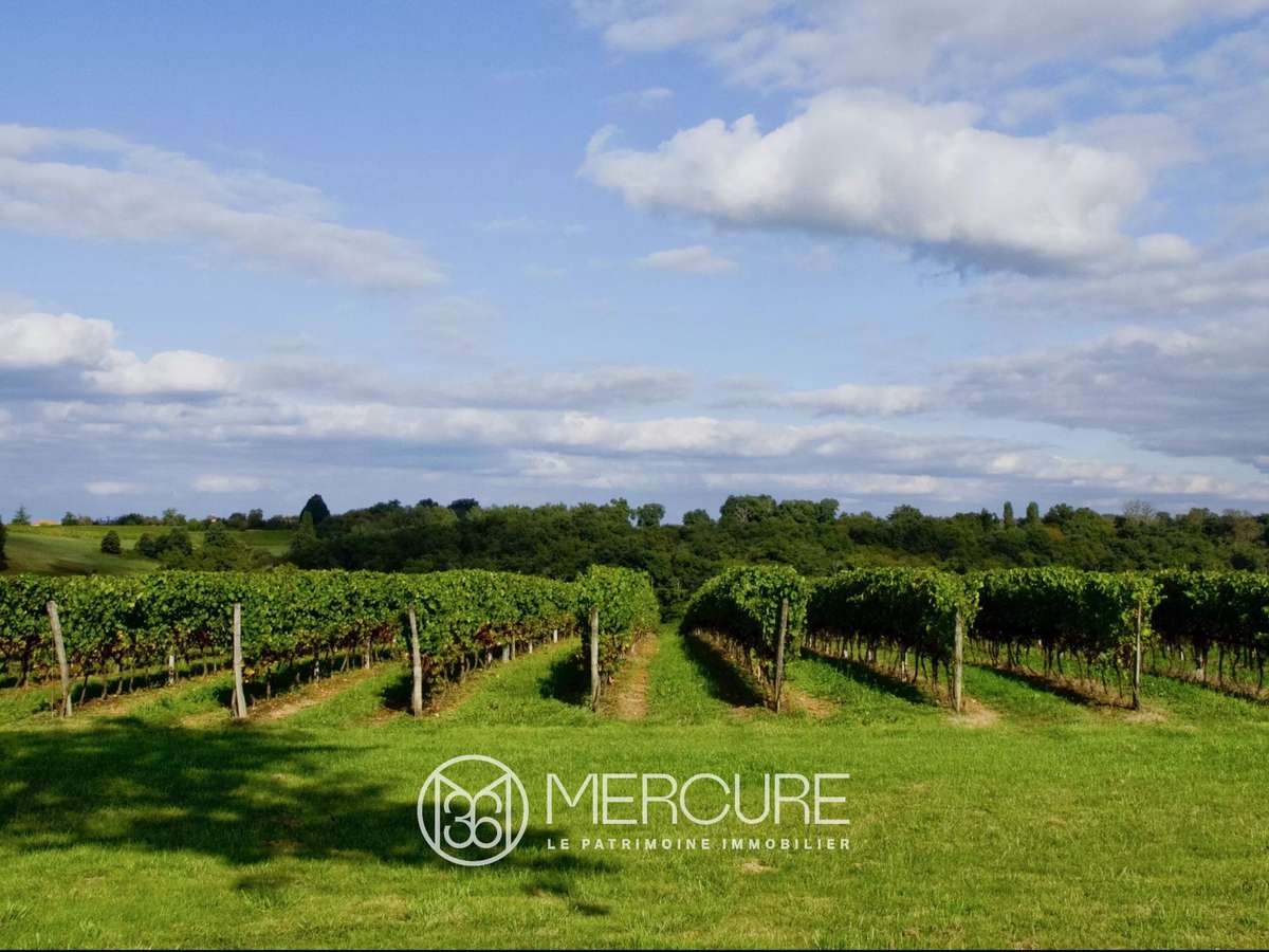 Domaine viticole Nogaro