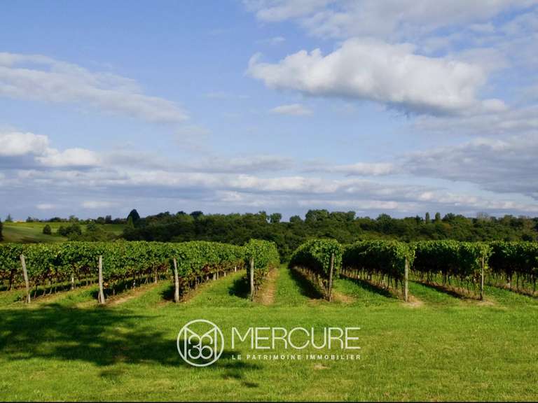 Domaine viticole Nogaro - 6 chambres - 337m²