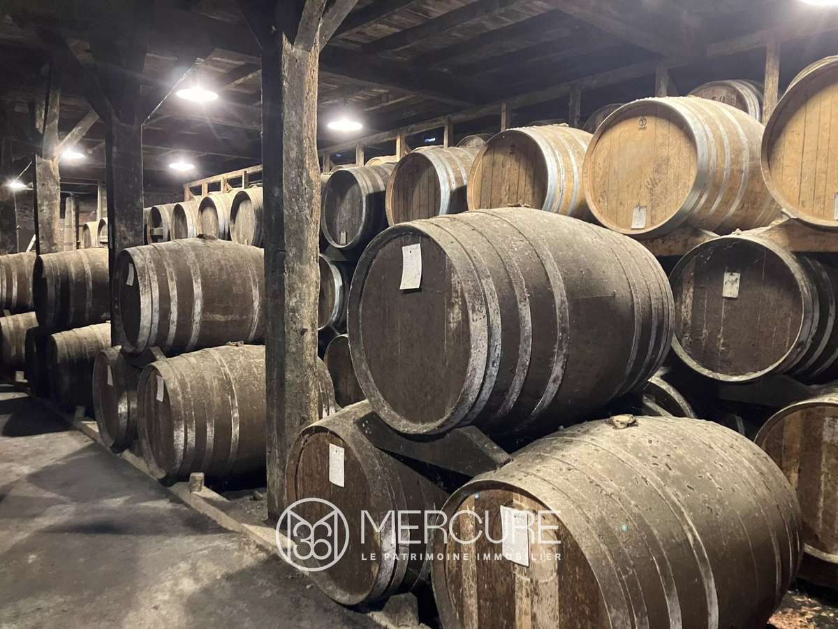 Domaine viticole Nogaro