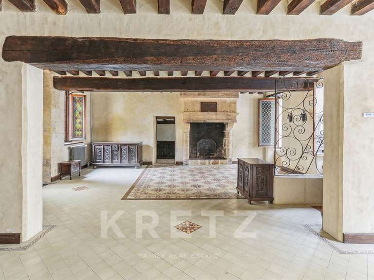 Maison Nogent-le-Rotrou - 5 chambres - 350m²