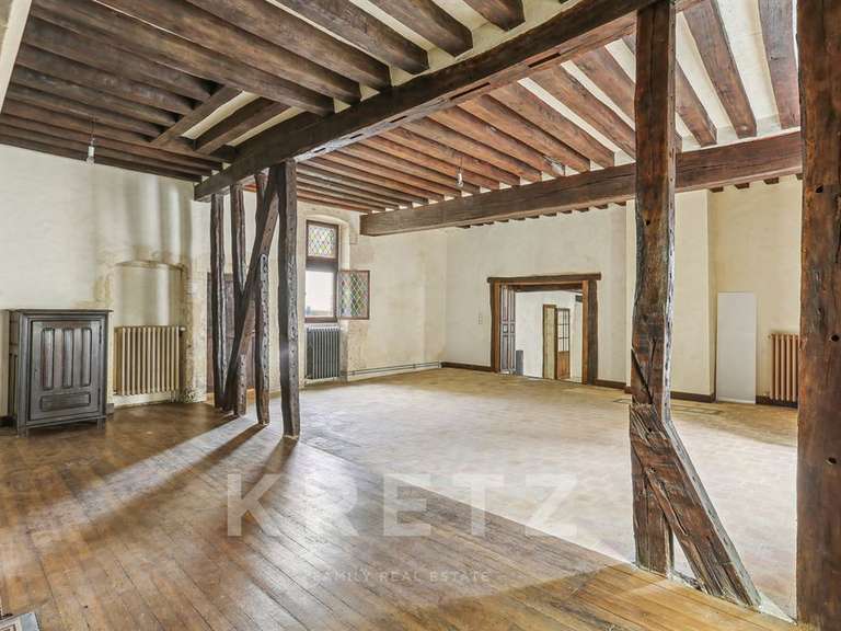 Maison Nogent-le-Rotrou - 5 chambres - 350m²