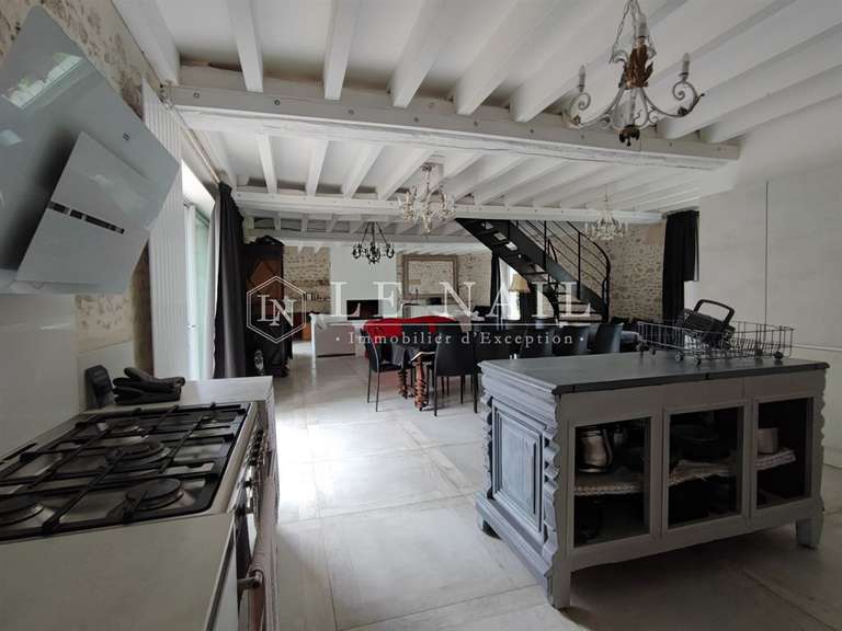 Manor Nogent-le-Rotrou - 9 bedrooms - 850m²