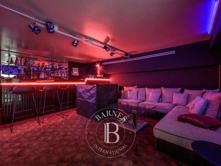 Maison Nogent-sur-Marne - 4 chambres - 480m²