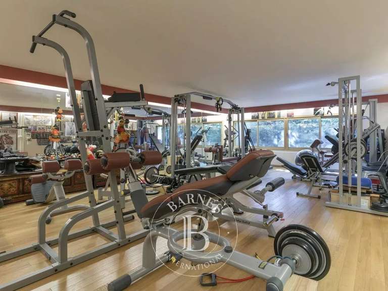 House Nogent-sur-Marne - 5 bedrooms - 520m²