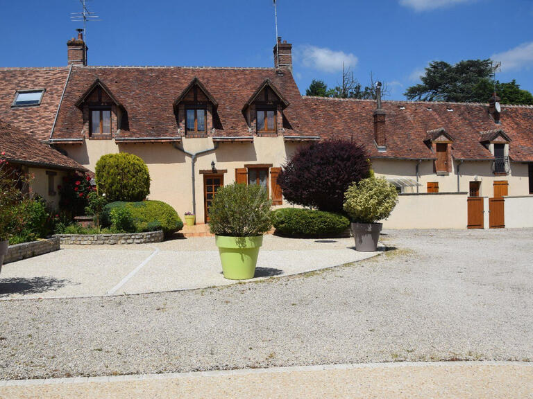 House Nogent-sur-Vernisson - 8 bedrooms